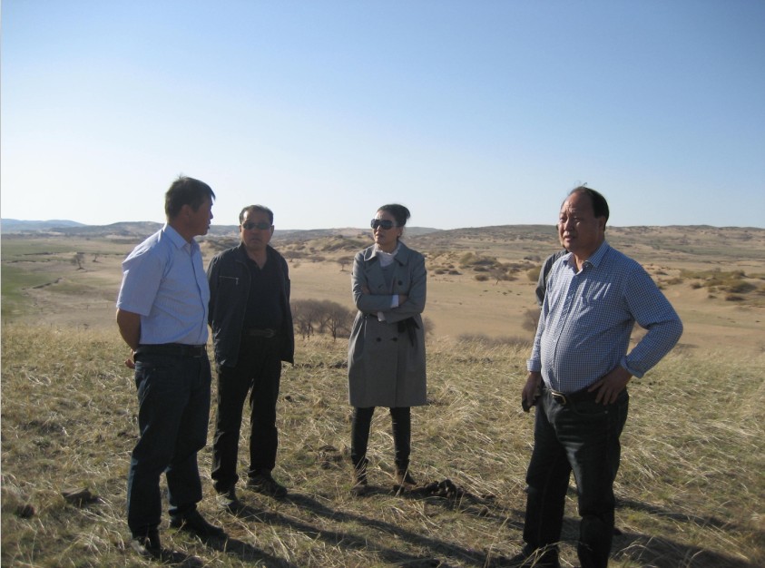 發(fā)揮資源優(yōu)勢，提高產(chǎn)業(yè)鏈競爭力——協(xié)會為企業(yè)間的合作搭建平臺