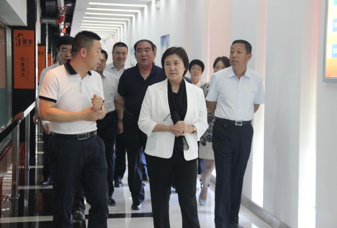 自治區(qū)黨委副書記、自治區(qū)主席布小林蒞臨協(xié)會會長單位——蒙羊牧業(yè)公司視察調(diào)研