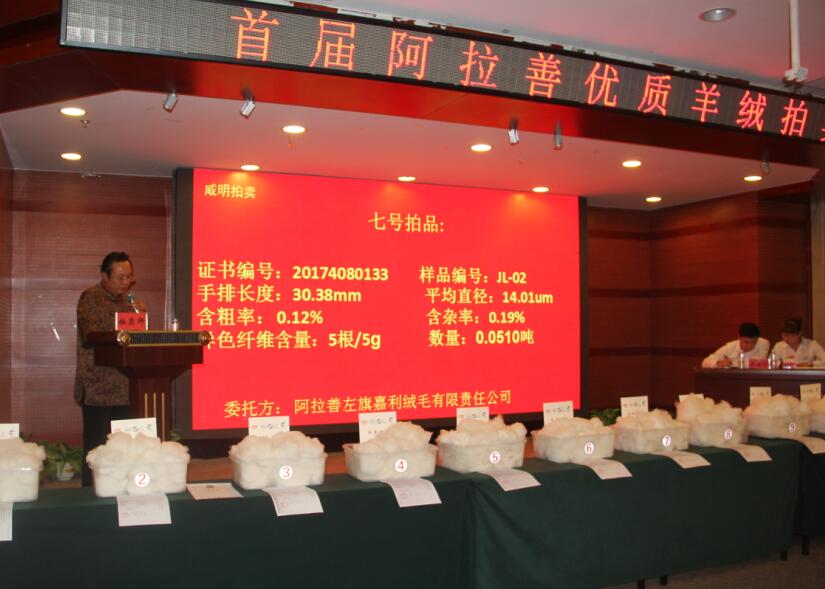 創(chuàng)新引領(lǐng)未來(lái)，品質(zhì)鑄就輝煌 首屆阿拉善優(yōu)質(zhì)羊絨拍賣(mài)會(huì)盛大舉行