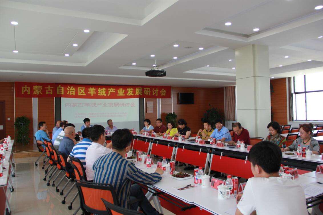 齊心協(xié)力，共謀內(nèi)蒙古羊絨產(chǎn)業(yè)發(fā)展新思路