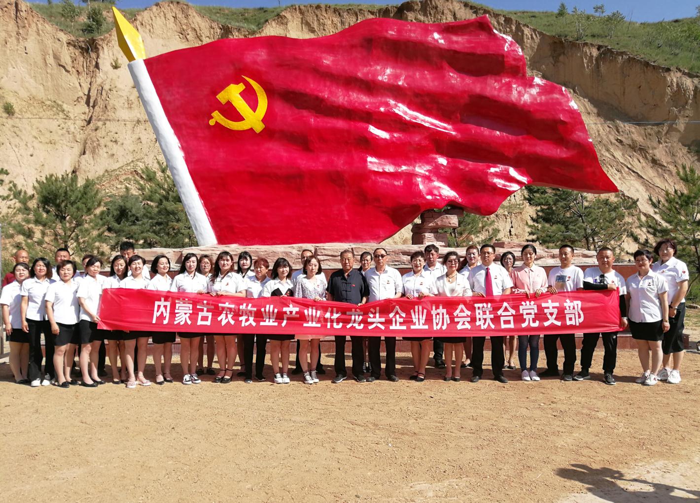 內(nèi)蒙古農(nóng)牧業(yè)產(chǎn)業(yè)化龍頭企業(yè)協(xié)會走進(jìn)石人灣村開展“辦實(shí)事、解難題，送溫暖，傳黨恩”公益活動